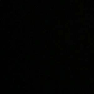 Meet your Posher, Isabella